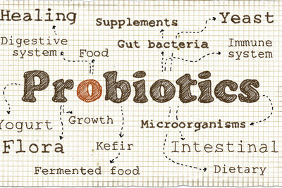 Boosting That Immune System - With Probiotics